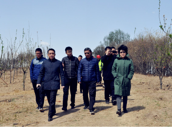 DB真人旗舰·(集团)中文官网